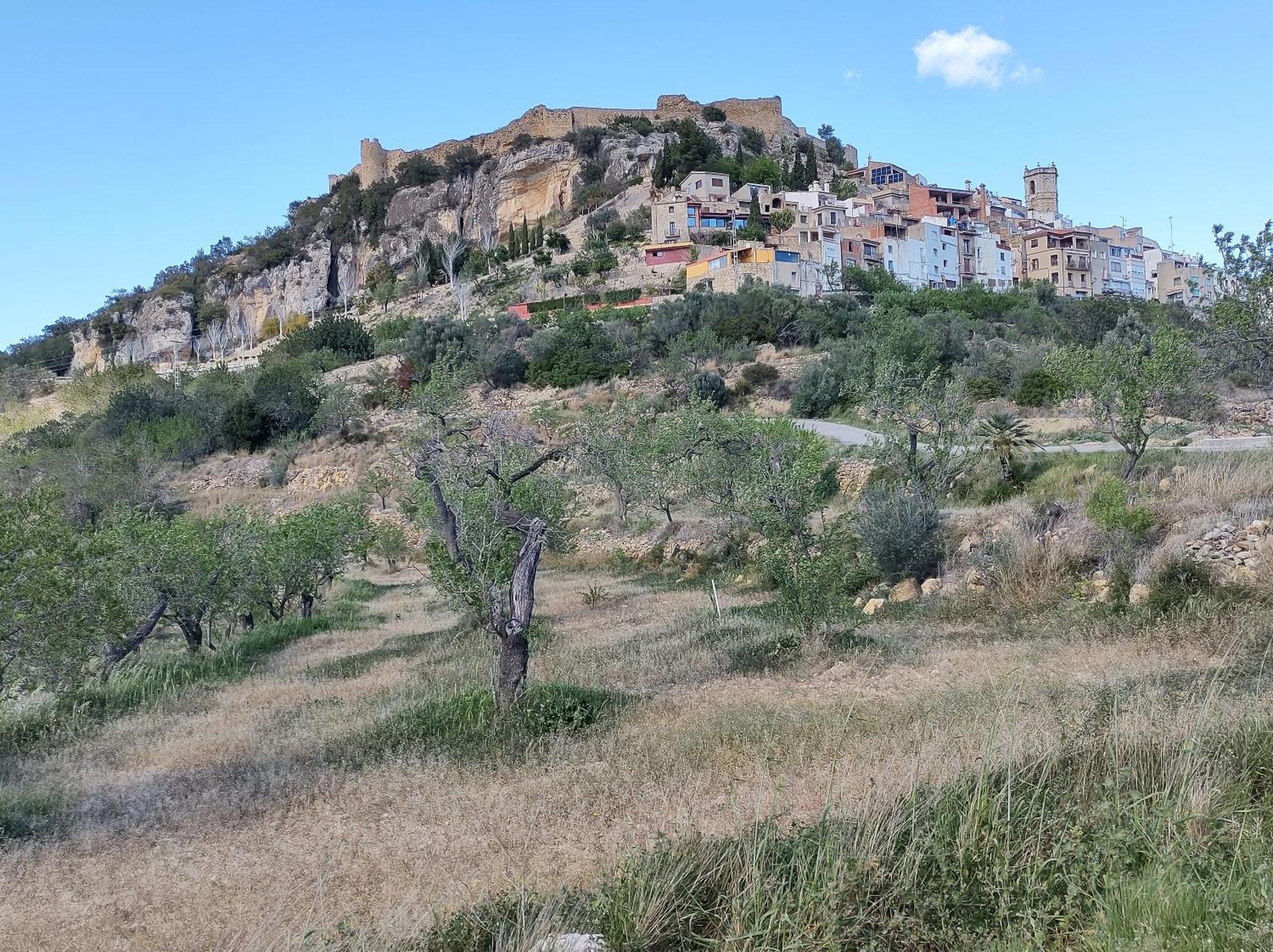 Tranquil And Spacious Townhouse In Historical And Picturesque Cervera Del Maestre מראה חיצוני תמונה